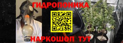 прущий лед Будённовск