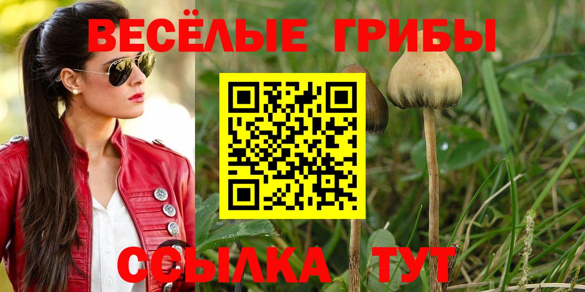 Галлюциногенные грибы мухоморы  Вход с VPN  Армавир 